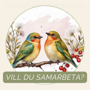 Vill du samarbeta med mig?